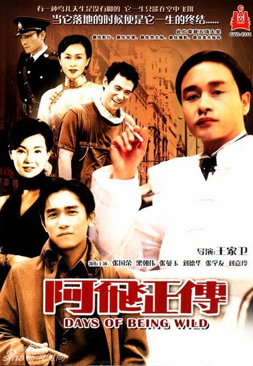 美利坚大学毕业证电子图